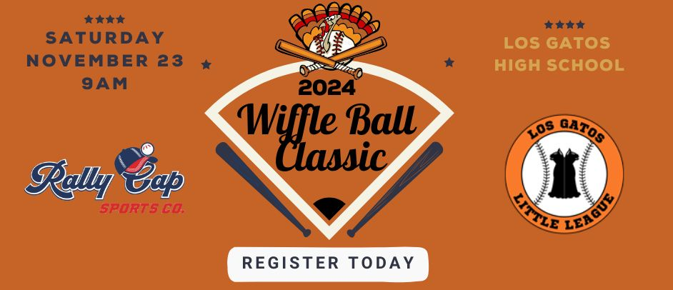 Wiffle ball classic 2024